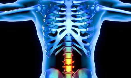 Illustrative image of a human body showing the lumbar part of the vertebrae which present pain and...