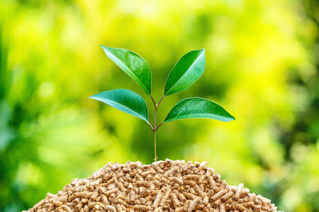 fuel wood pellets with green tree leaf. blurred background. biomass concept