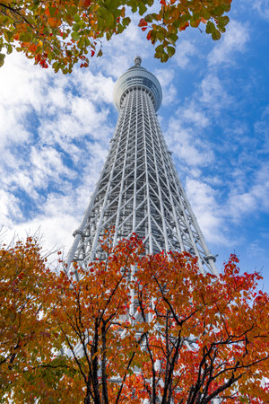 Tokyo Sky Tree seen from belowの写真素材