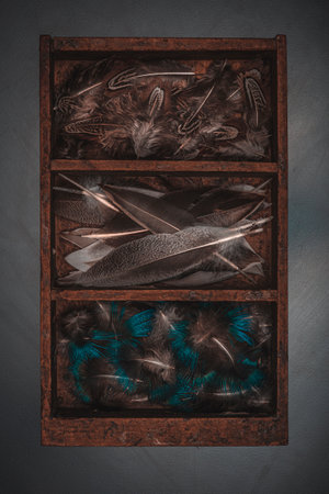different types of feathers in old wooden boxの写真素材