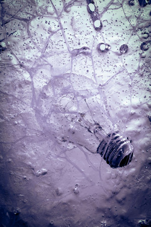 traditional filament bulb in iceの写真素材