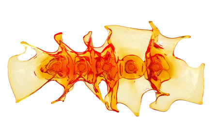 vibrant red and honey yellow liquid blend isolated white backgroundの写真素材