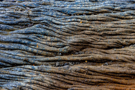Solidified lava flow shows texture of wrinkles and linesの写真素材