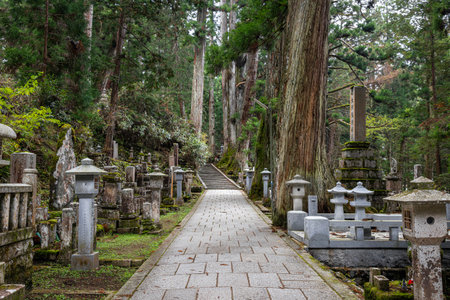 Koyasan okunoin cemetery path winding through forestの写真素材