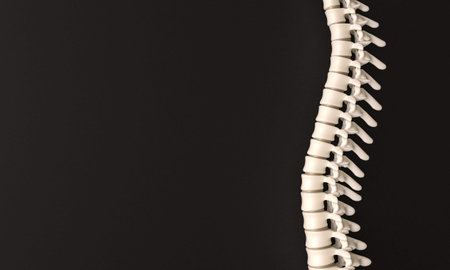 Human spinal column black background 3d