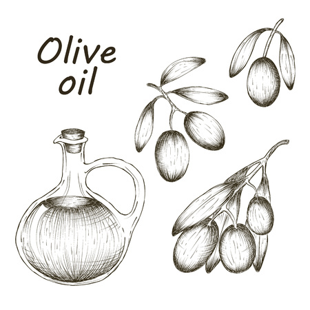 Vector hand drawn illustration with olives and olive oil sketch.のイラスト素材