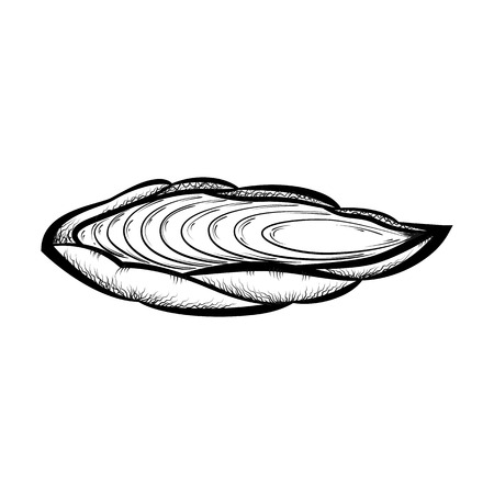 hand drawn pattern black and white shellのイラスト素材