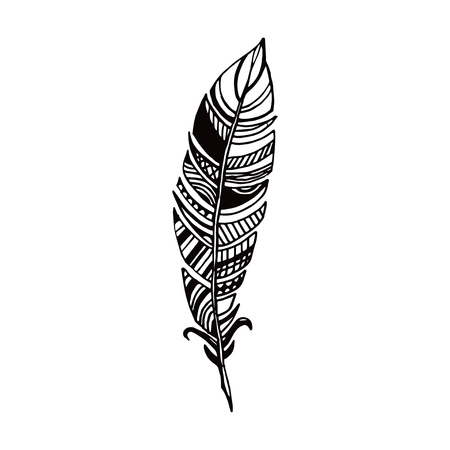 Hand drawn feathers. ink illustration art elements, boho design.のイラスト素材