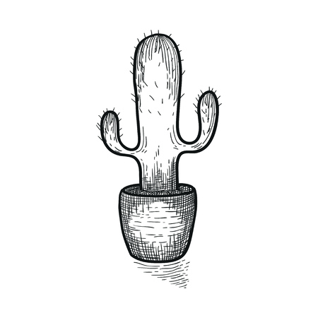 Hand drawn cactus. Doodle florals in pots.のイラスト素材