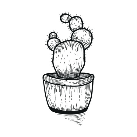 Hand drawn cactus. Doodle florals in pots.のイラスト素材