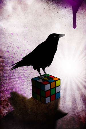 Black crow on a rubix cube with grunge purple backgroundの写真素材