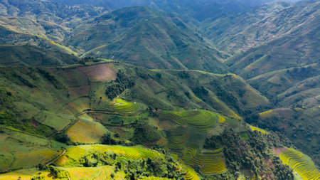 Majestic terraced fields in Mu Cang Chai district, Yen Bai province, Vietnam. Rice fields ready to be harvested in Northwest Vietnam.の写真素材