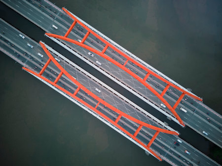 June 8, 2022: Binh Loi tree on Pham Van Dong street in Binh Thanh district, Ho Chi Minh City, Vietnamのeditorial素材