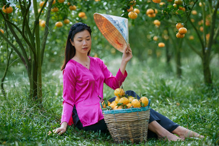Sa Dec city, VietNam: Western girl portrait in ripe tangerine gardenの写真素材