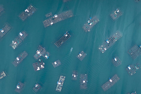 February 15, 2024: scene of a fishing village located on the coast of Vietnam in the afternoon