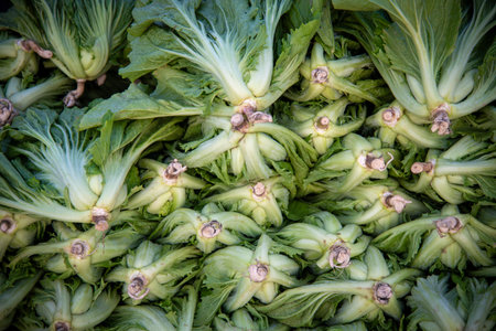 January 25, 2024: scene of a rural market in Vi Thanh city, An Giang province, Vietnamの写真素材