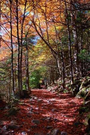 landscape pyreneesの写真素材