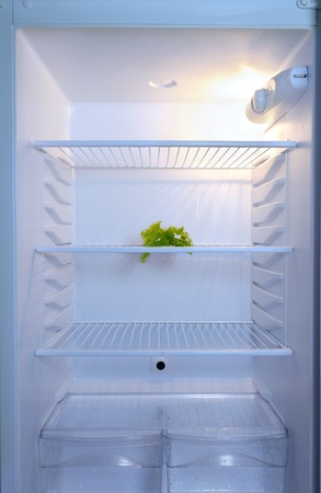 fridge and saladの写真素材