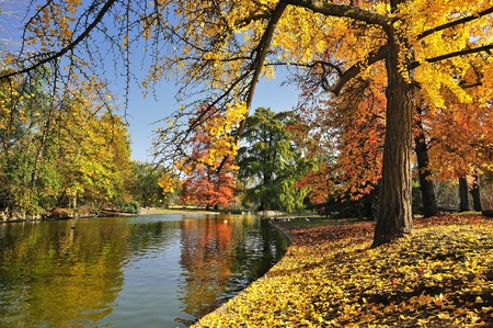 A quiet place in autumnの写真素材