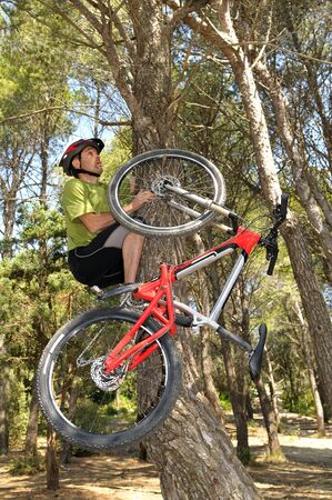 A cyclist fallen in a tree.の写真素材