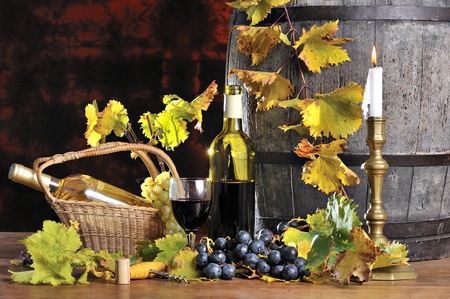 a tasting of red wine       の写真素材