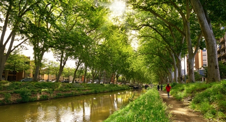 walk along the canal of midi in Toulouse, Franceの写真素材