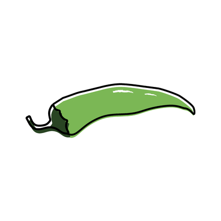 Pepper icon, vector illustration on white backgroundのイラスト素材