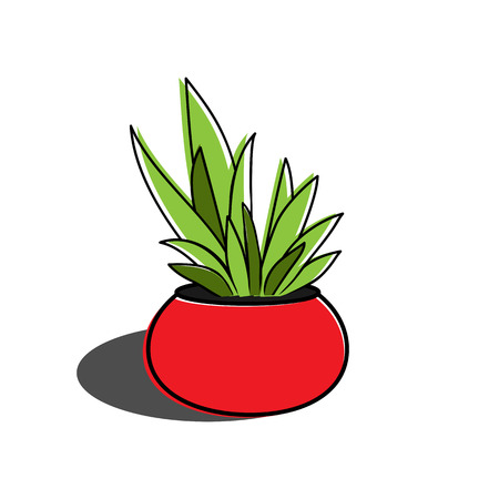 Aloe vera in the potのイラスト素材