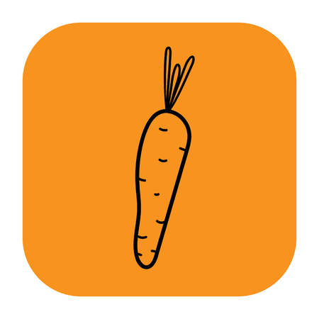 Carrot vector illustration isolated on a orange backgroundの写真素材