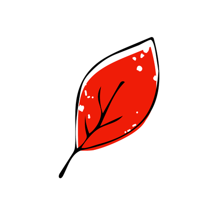 Autumn leaf vector illustration on white backgroundのイラスト素材