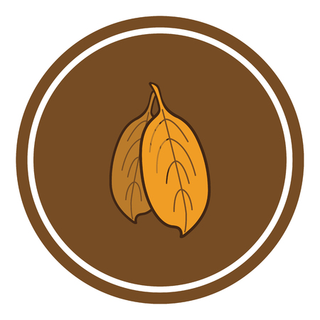 Leaves vector illustration on beige background.の写真素材