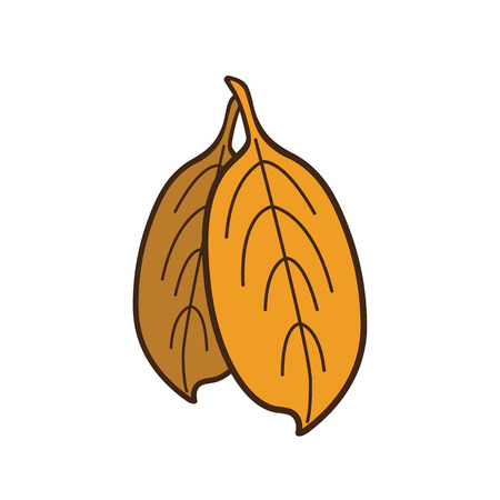 Autumn leaves vector illustration on white backgroundのイラスト素材