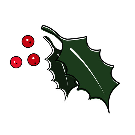 Christmas holly with berry. Vector illustration on white backgroundのイラスト素材