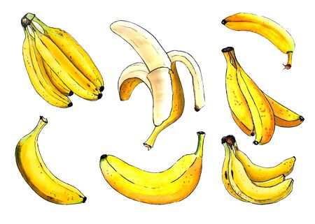 Set of bananas on white background. Hand draw illustrationの写真素材