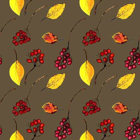 Seamless pattern with autumn leaves and berries on dark background Hand draw illustration.の写真素材