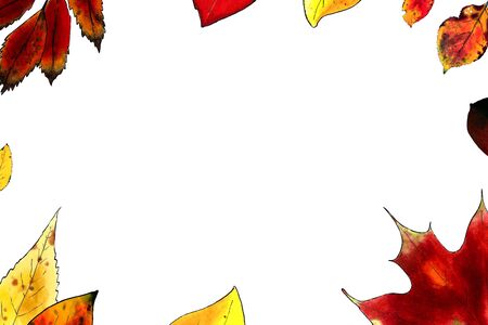 Template autumn leaves on white background Hand draw illustration