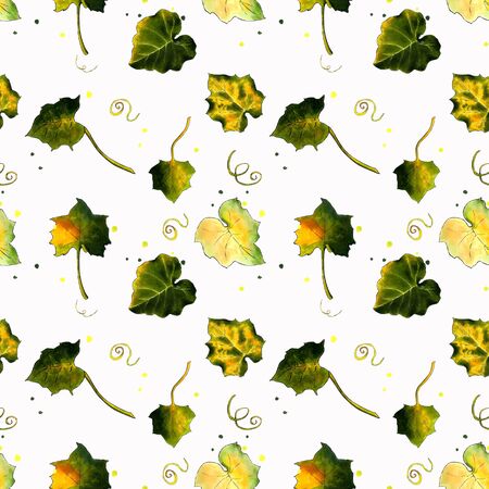 Seamless pattern with leaves on white background Hand draw illustration.の写真素材