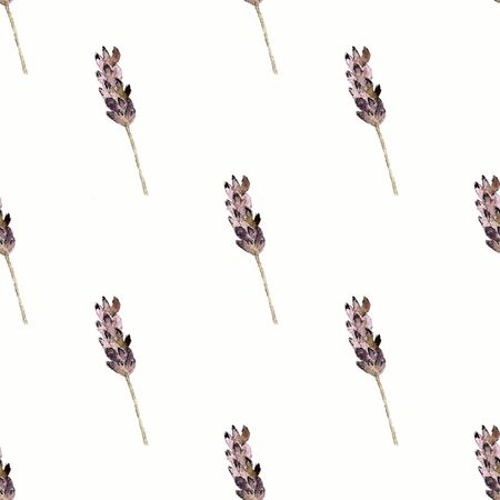 Seamless pattern with lavender on white background Watercolor illustrationの写真素材