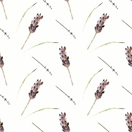 Seamless pattern with lavender on white background Watercolor illustrationの写真素材