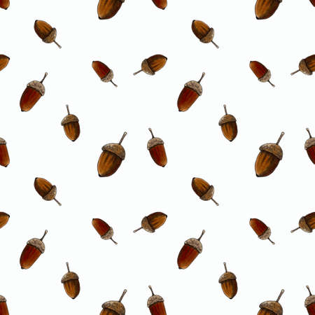 Seamless pattern with acorns on white background. Hand draw illustration.の写真素材