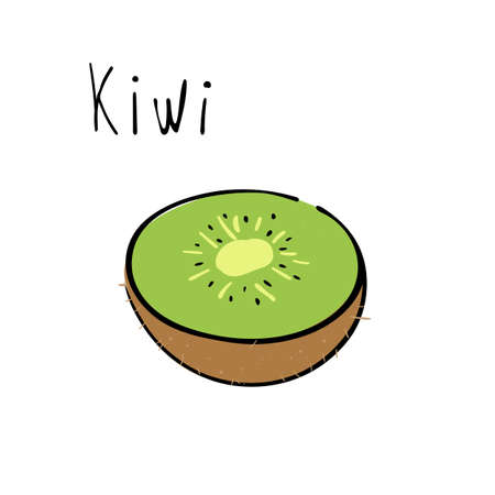Kiwi fruit on white background. Vectror illustrationのイラスト素材