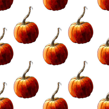 Seamless pattern with pumkins on white background. Hand draw illustration.の写真素材