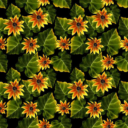 Seamless pattern with leaves and yellow flowers on black background. Hand draw illustration.の写真素材