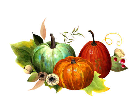 Fall arrangements with pumpkins, leaves, flowers, berries. Hand drawn illustrationの写真素材