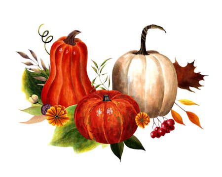 Fall arrangements with pumpkins, leaves, flowers, berries. Hand drawn illustrationの写真素材