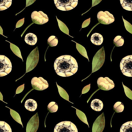 Seamless pattern with white flowers on black background. Hadn drawn illustration.の写真素材