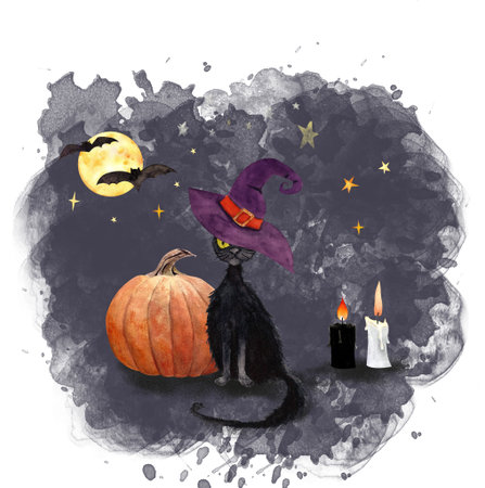 Black Cat and Pumpkin Halloween Nightの写真素材