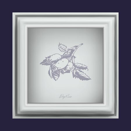 Square white 3d frame. Realistic image. The illustration contains transparency and effects. EPS10のイラスト素材