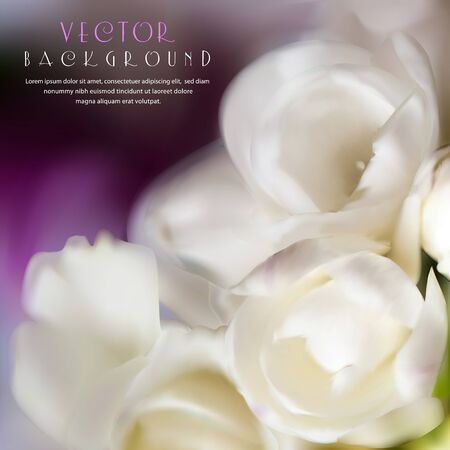 Beautiful white flowers on a violet background. Gradient mesh. Vector.のイラスト素材