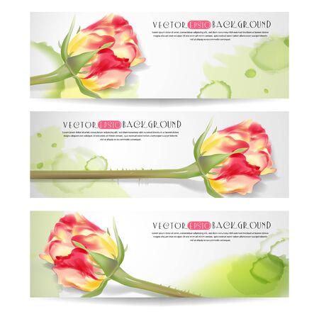 Set of horizontal banners with rose. The illustration contains transparency and effects. EPS10のイラスト素材